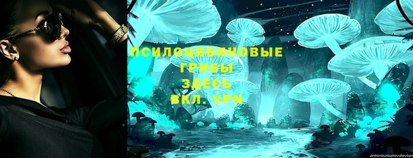 тгк Надым