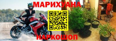 прущая мука Гатчина