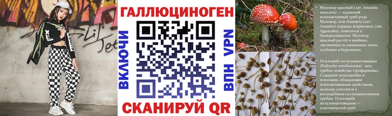 кракен ONION  сколько стоит  Егорьевск  Галлюциногенные грибы мицелий 