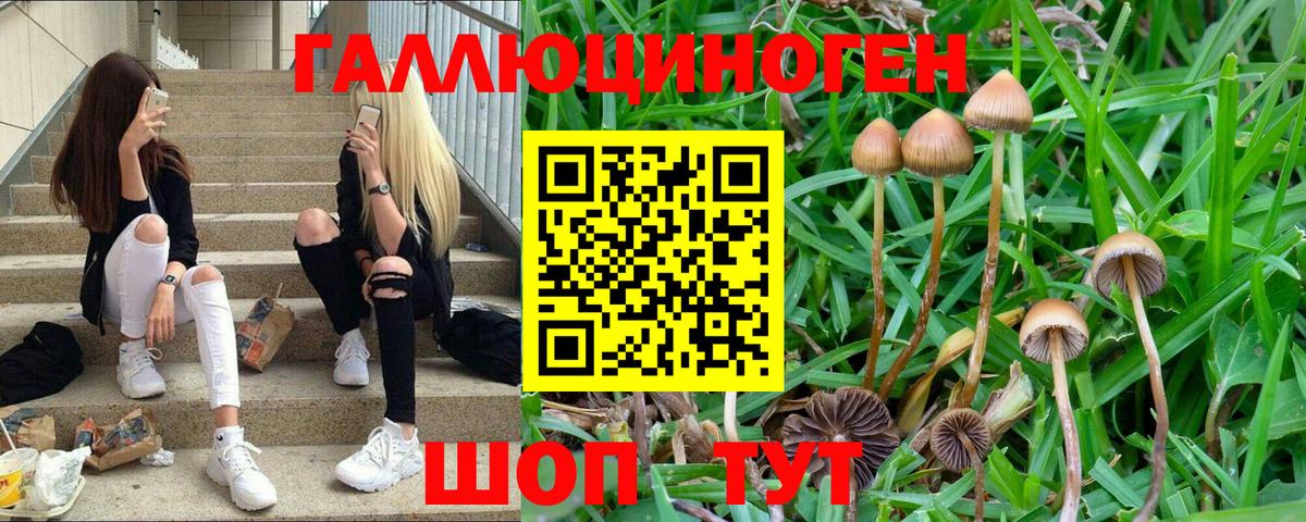 Галлюциногенные грибы MAGIC MUSHROOMS Егорьевск