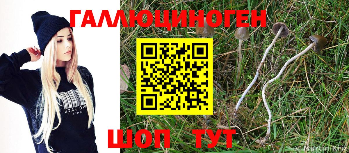 Егорьевск  Галлюциногенные грибы мухоморы  Галлюциногенные грибы мухоморы  Вход с VPN 