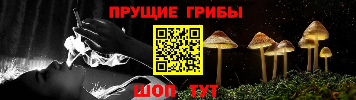 Галлюциногенные грибы GOLDEN TEACHER  Егорьевск  Галлюциногенные грибы MAGIC MUSHROOMS 